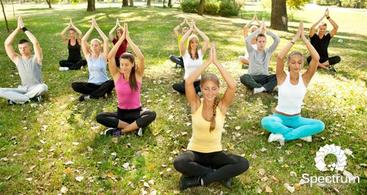 group of people doing yoga in a park
